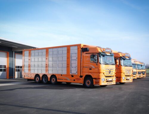 Wir suchen Kraftfahrer/innen der FS-Klasse CE